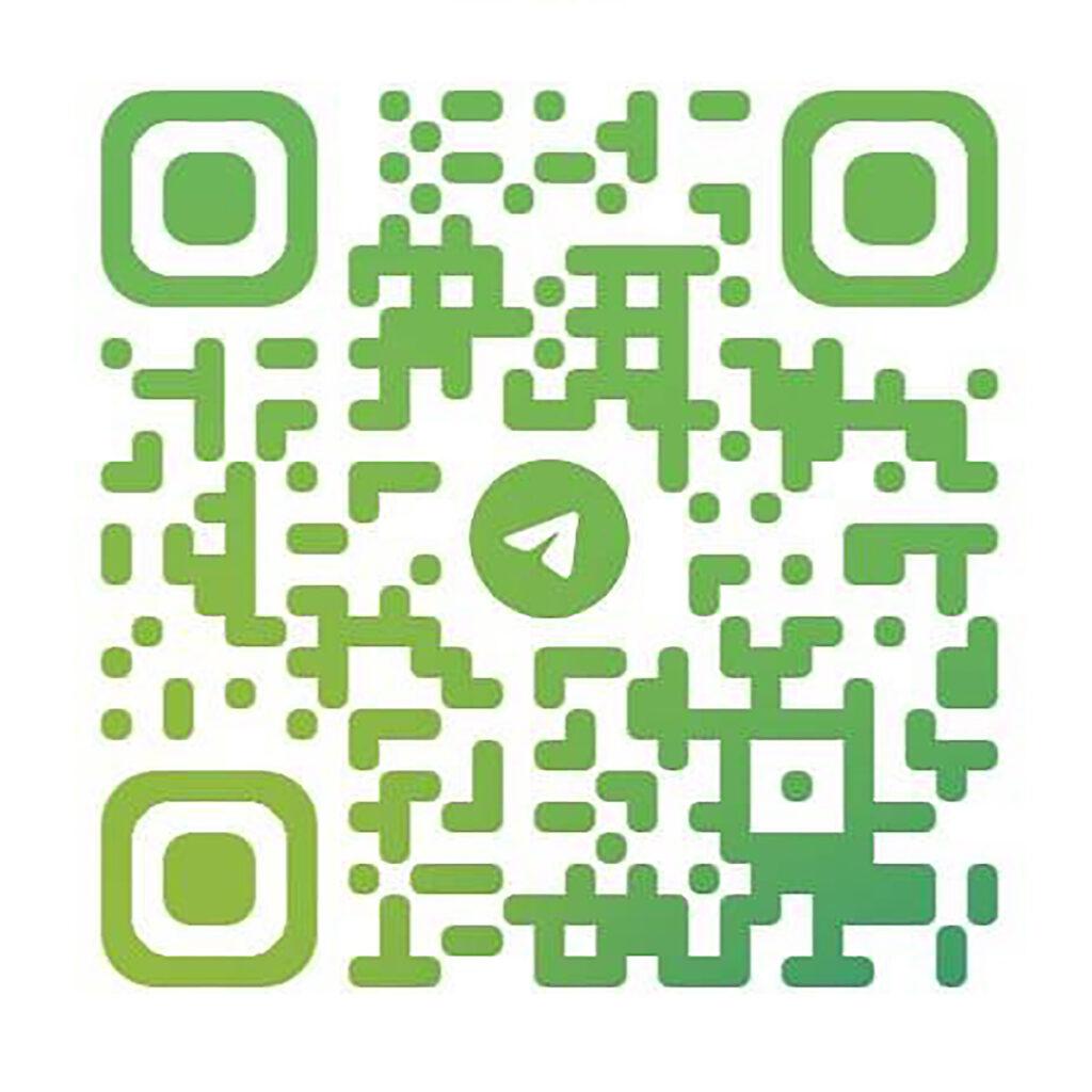 Men's Competition Barbell Set