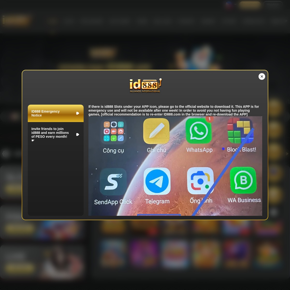 Men's Competition Barbell Set